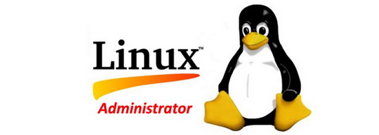 linux vps server