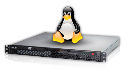 Linux VPS server